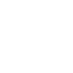 Barzo Logo - No Backround